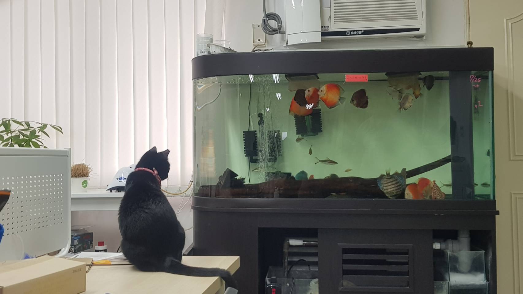 哲煜科技年營業額突破一千萬